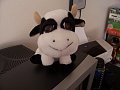 Gao watches over my computer for me. He's totally vicious. 